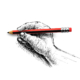 hand-holding-pencil-sketch-isolated-white-background (1)